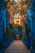 Jardin Majorelle